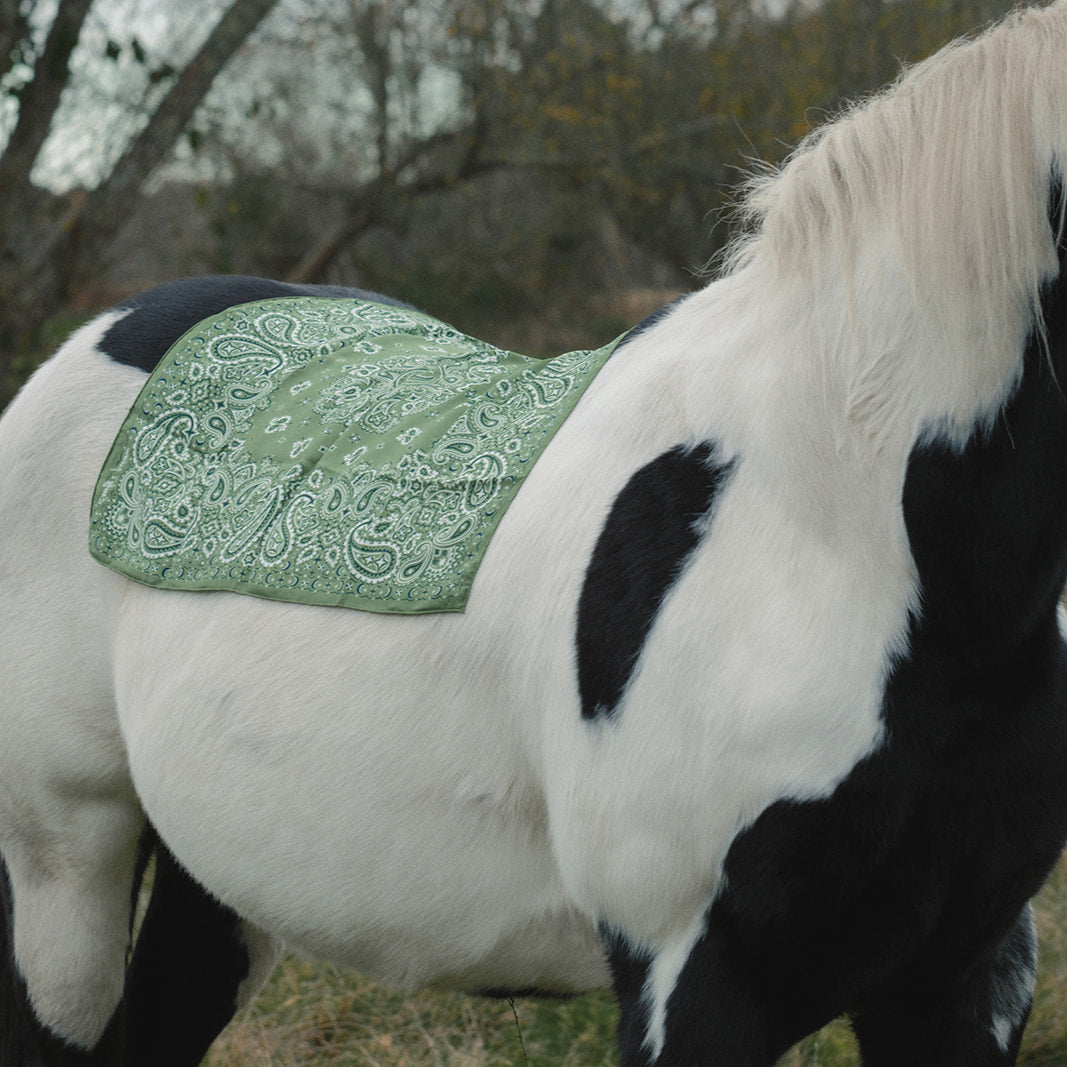 100% pure silk scarf - Green Bandana