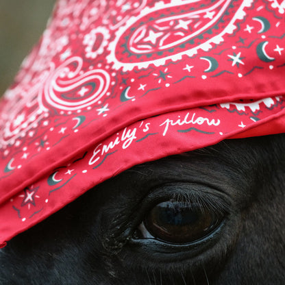100% pure silk scarf - Red Bandana