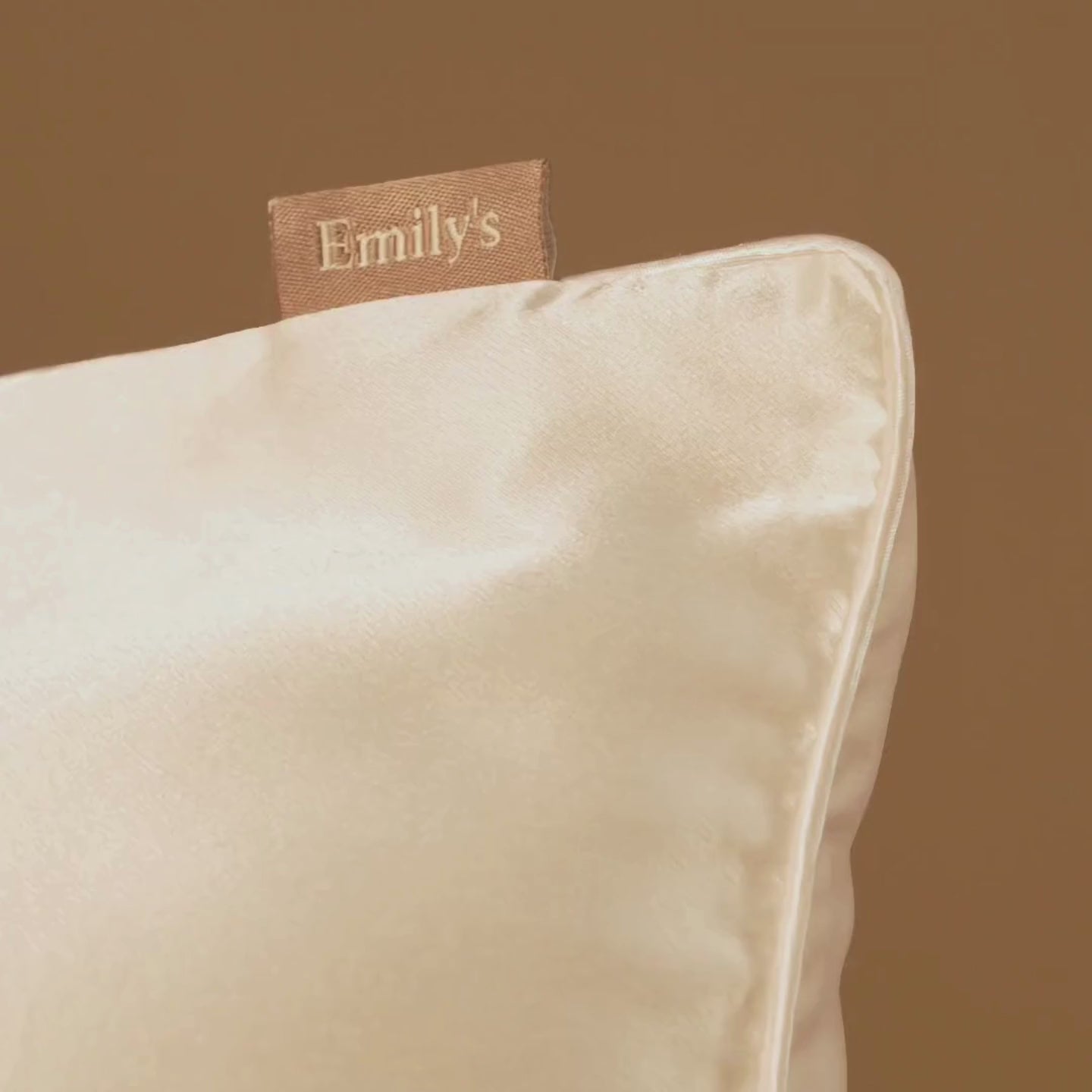 100% Mulberry Silk Pillowcase - White